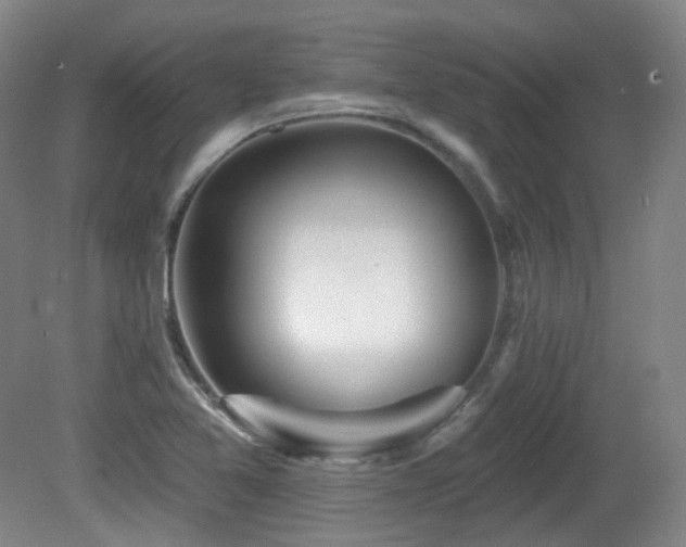 X0000081601365200701151328