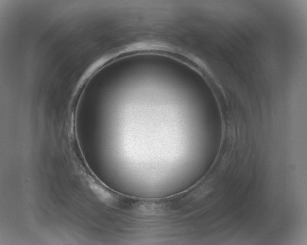 X0000081601366200701151328