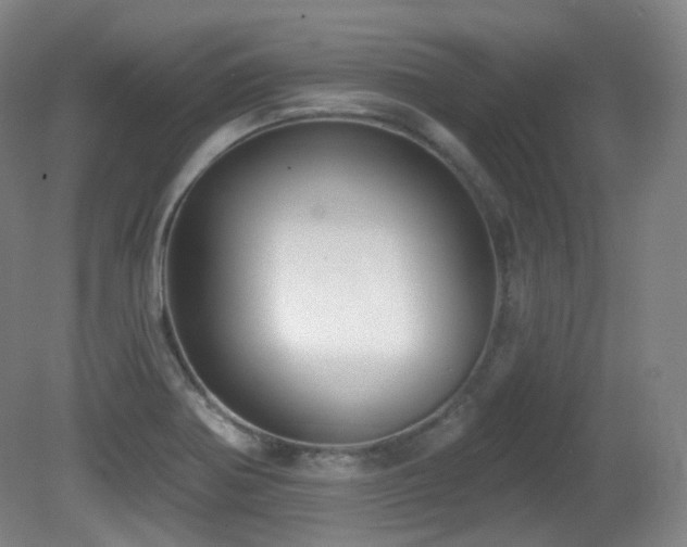 X0000081601370200701151328