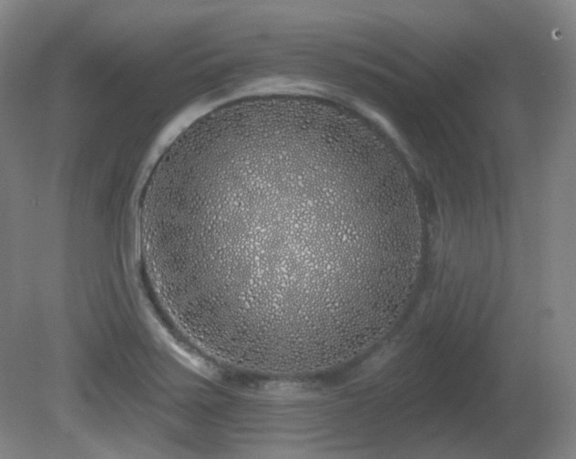 X0000081601371200701151328