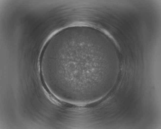 X0000081601372200701151328