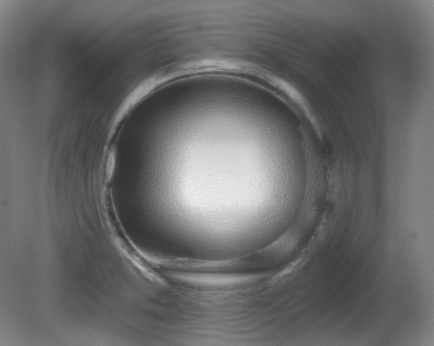 X0000081601373200701151328