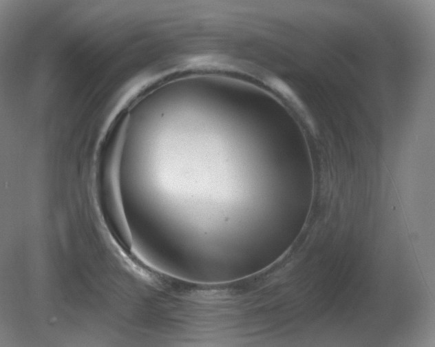 X0000081601376200701151328