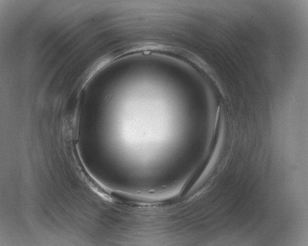 X0000081601377200701151328