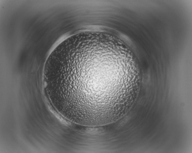 X0000081601378200701151328
