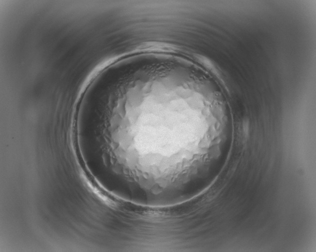 X0000081601379200701151328