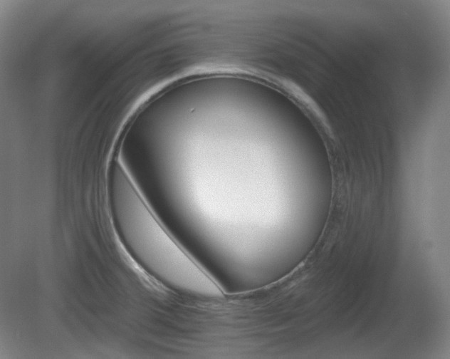 X0000081601380200701151328