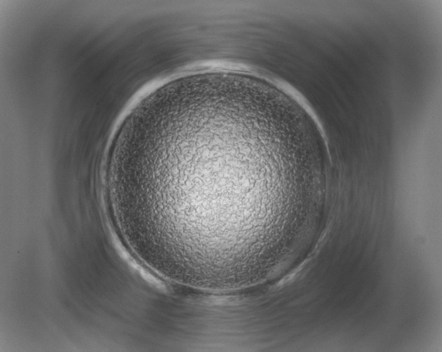 X0000081601381200701151328