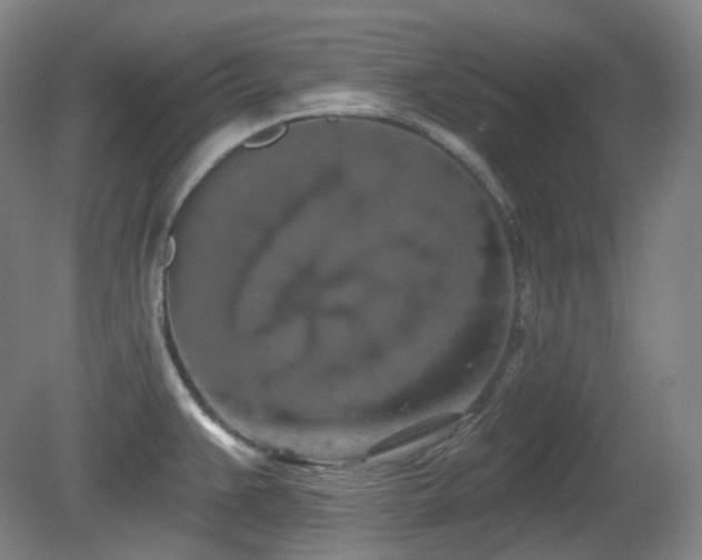 X0000081601383200701151328