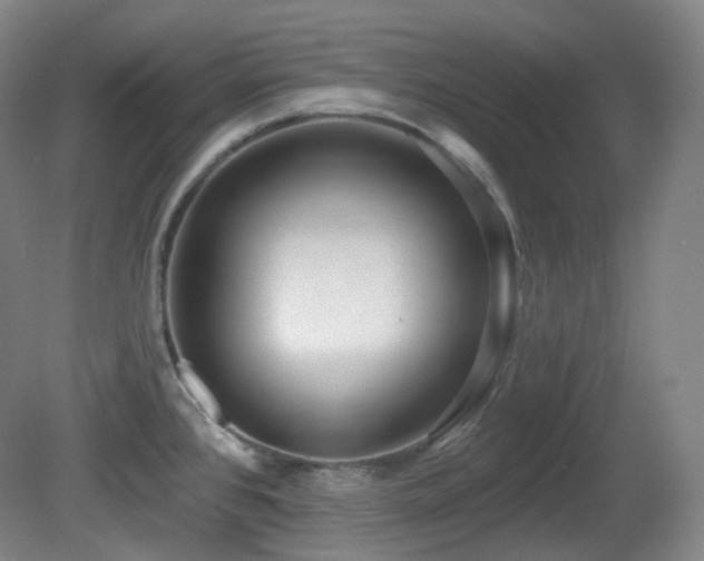 X0000081601384200701151328