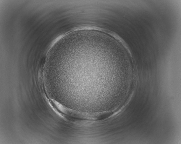 X0000081601385200701151328