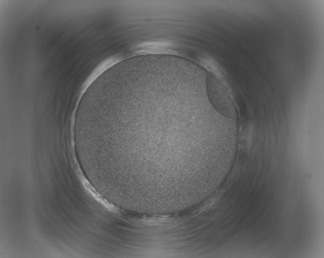 X0000081601386200701151328