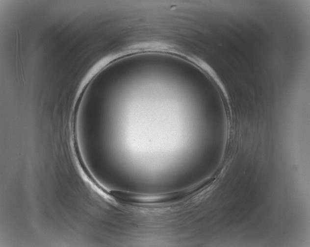 X0000081601389200701151328