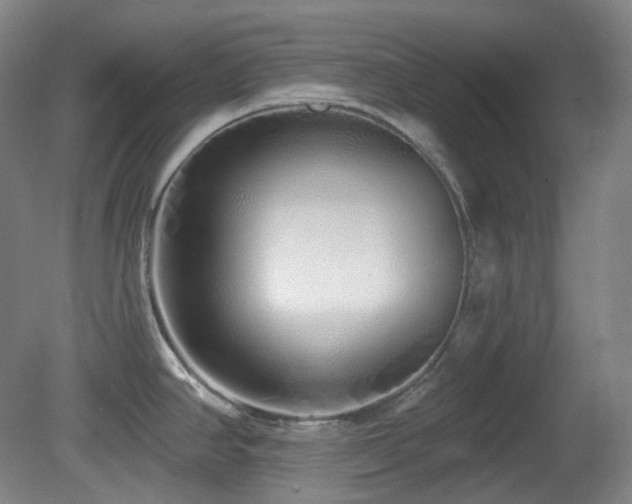 X0000081601390200701151327