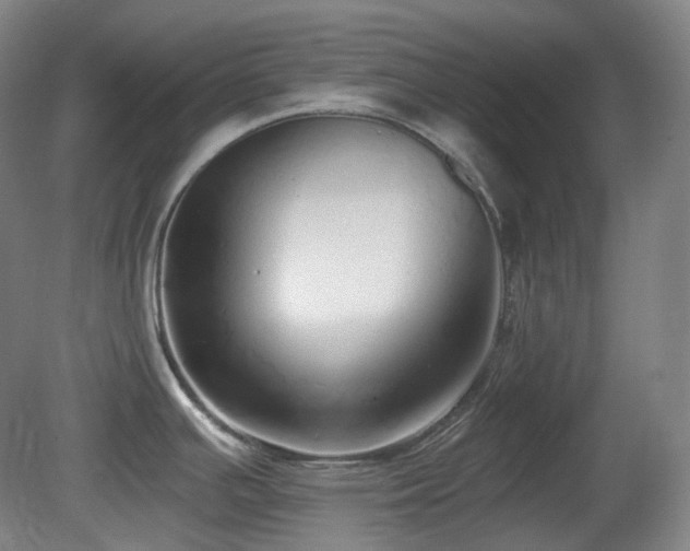 X0000081601391200701151327