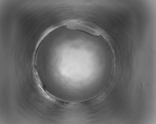 X0000081601392200701151327