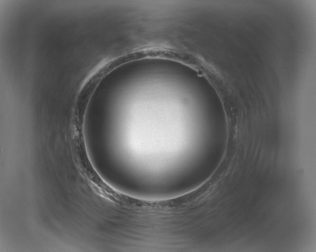 X0000081601400200701151327
