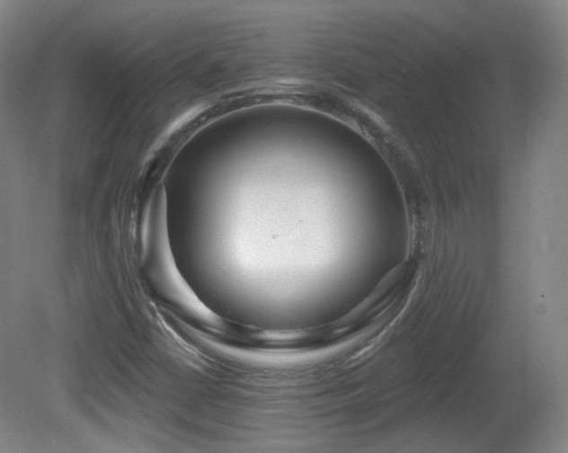 X0000081601402200701151327