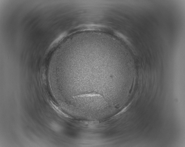 X0000081601403200701151327