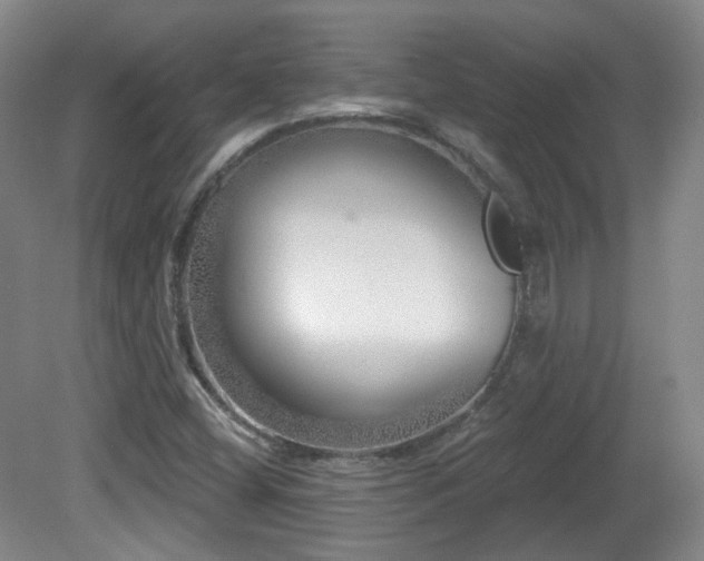 X0000081601404200701151327