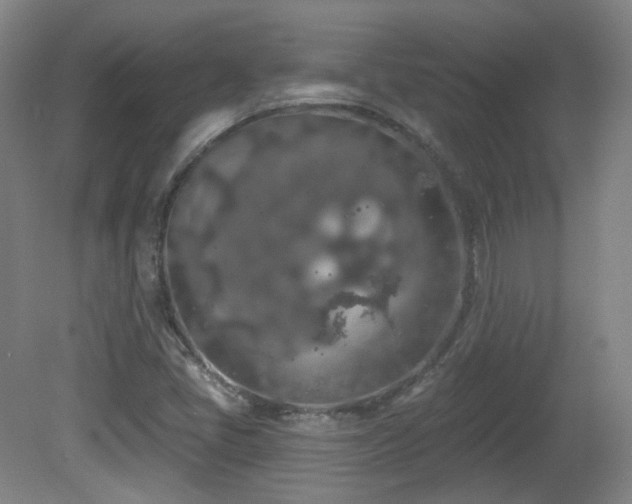 X0000081601405200701151327