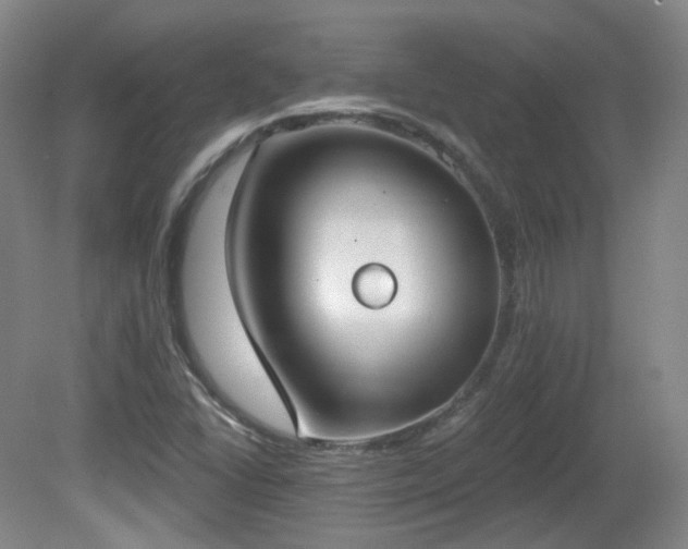 X0000081601406200701151327