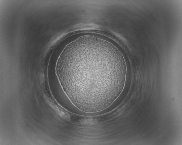 X0000081601407200701151327
