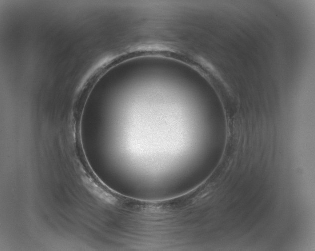X0000081601408200701151327