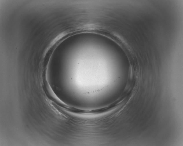 X0000081601410200701151327