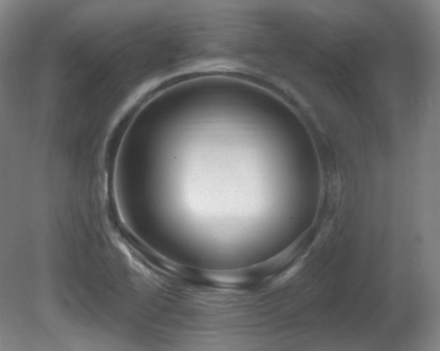 X0000081601414200701151327