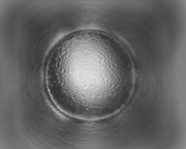 X0000081601416200701151327