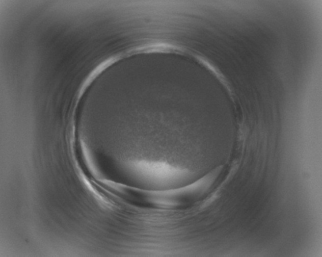 X0000081601418200701151327