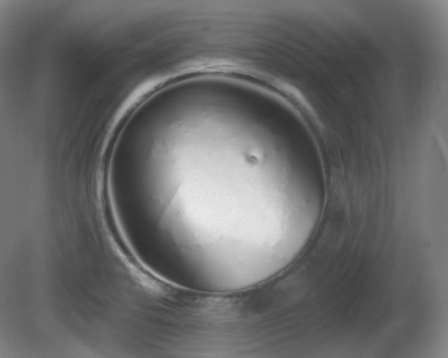 X0000081601424200701151327