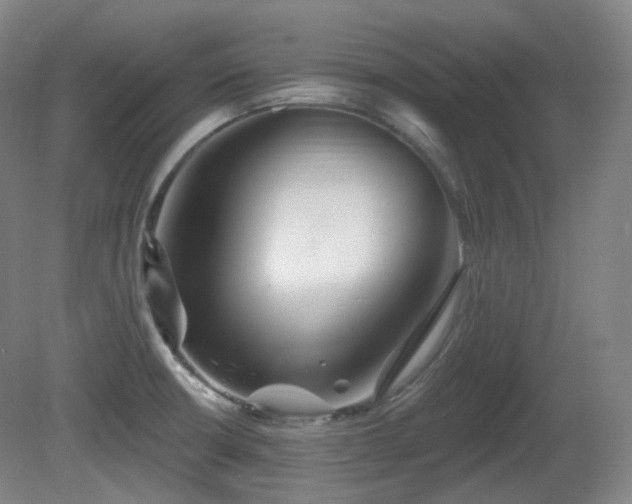 X0000081601426200701151327