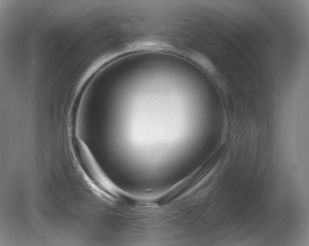 X0000081601430200701151327