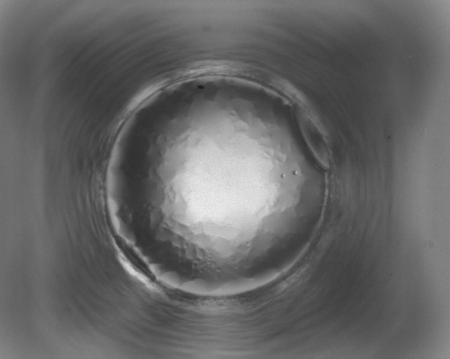 X0000081601433200701151327