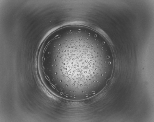 X0000081601436200701151327