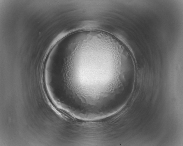X0000081601437200701151327