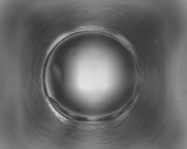 X0000081601438200701151327