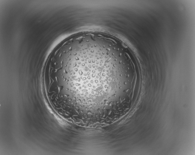 X0000081601440200701151327