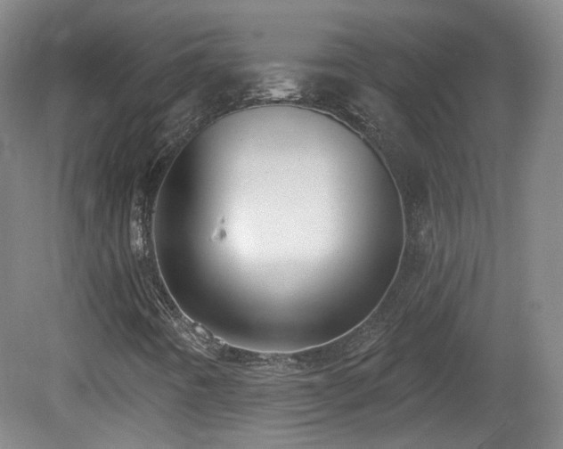 X0000081601442200701151327
