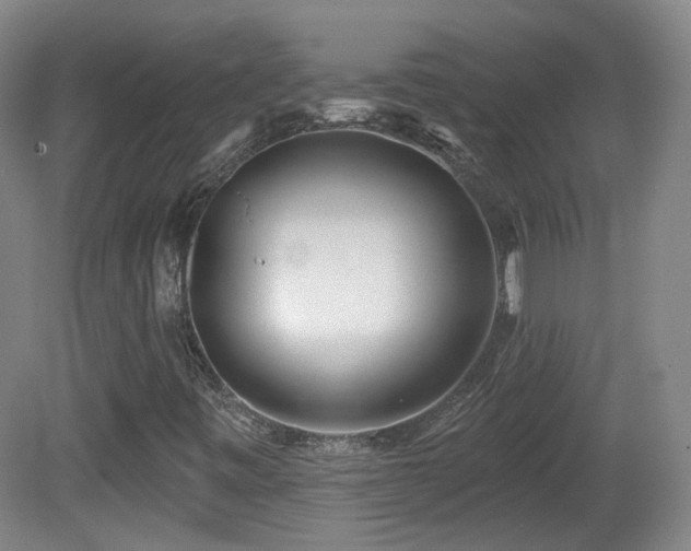 X0000081601443200701151327