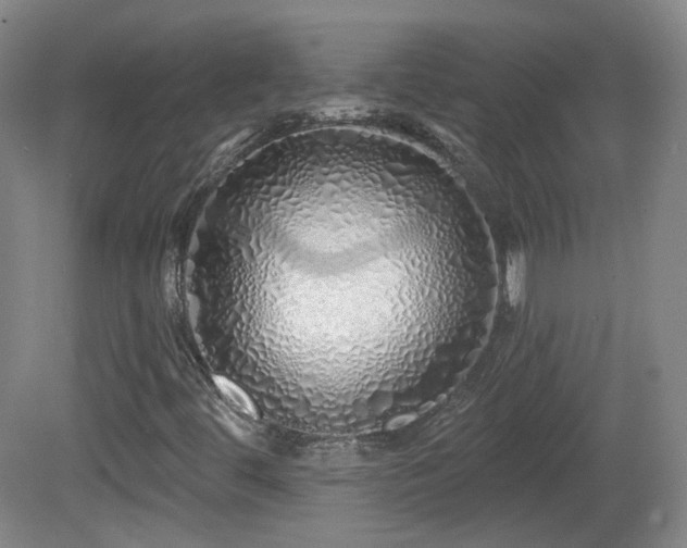 X0000081601444200701151327