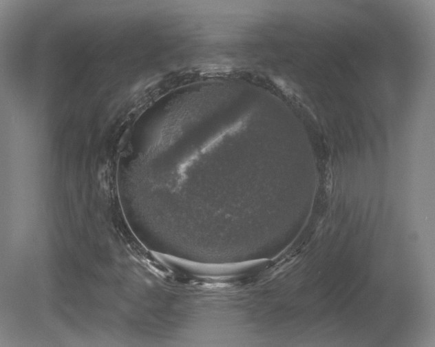 X0000081601445200701151327