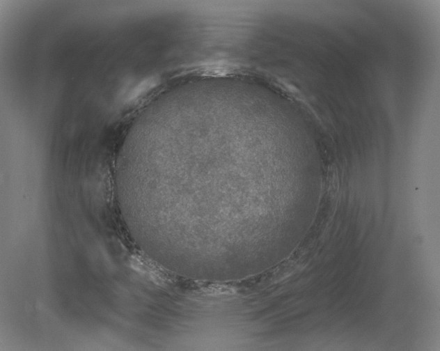 X0000081601446200701151327