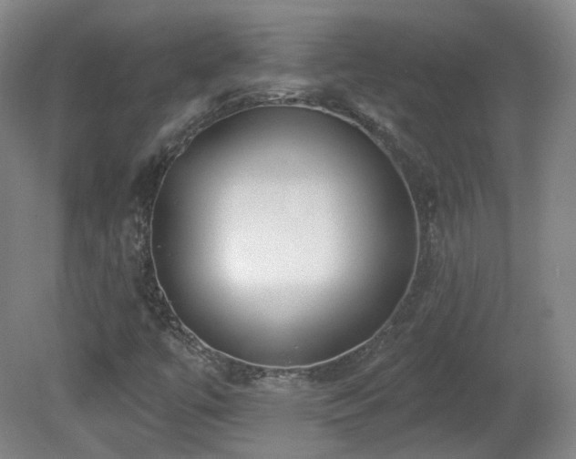 X0000081601447200701151327