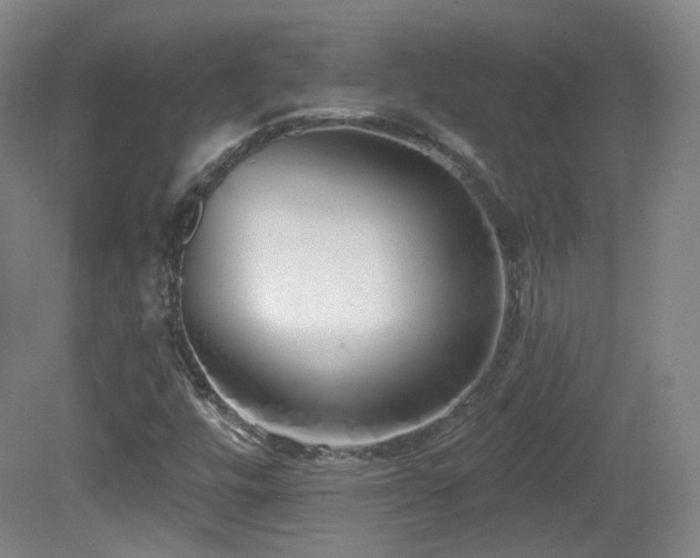 X0000081601448200701151327