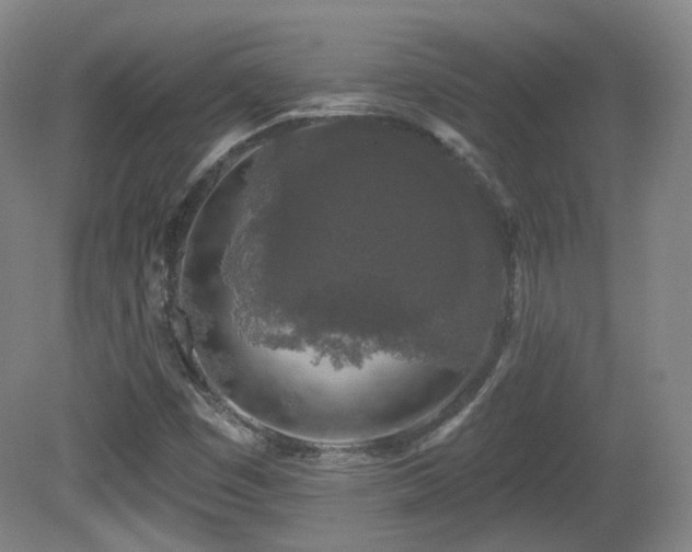 X0000081601449200701151326