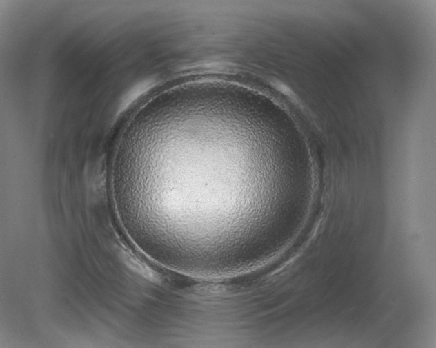 X0000081601450200701151326