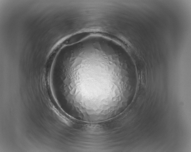 X0000081601452200701151326